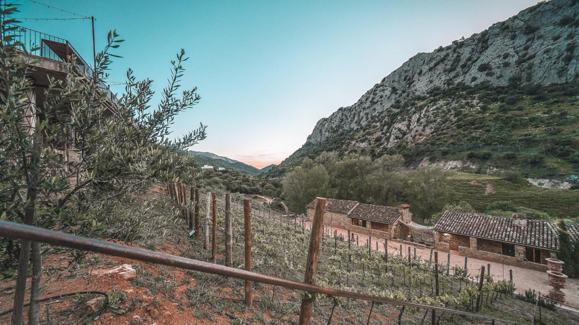 Hotel Eco Cueva Del Gato