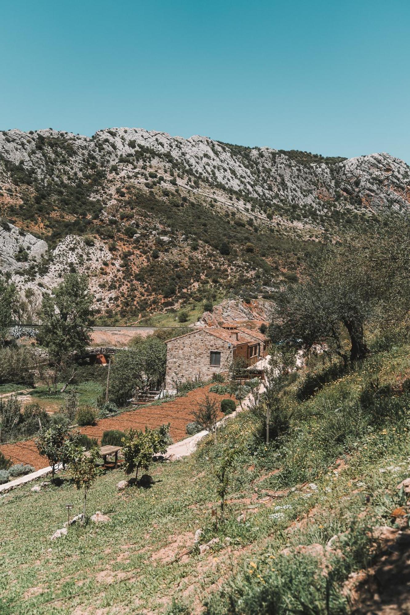Eco Cueva Del Gato